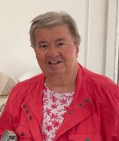 Susan  Lesley Wallwork